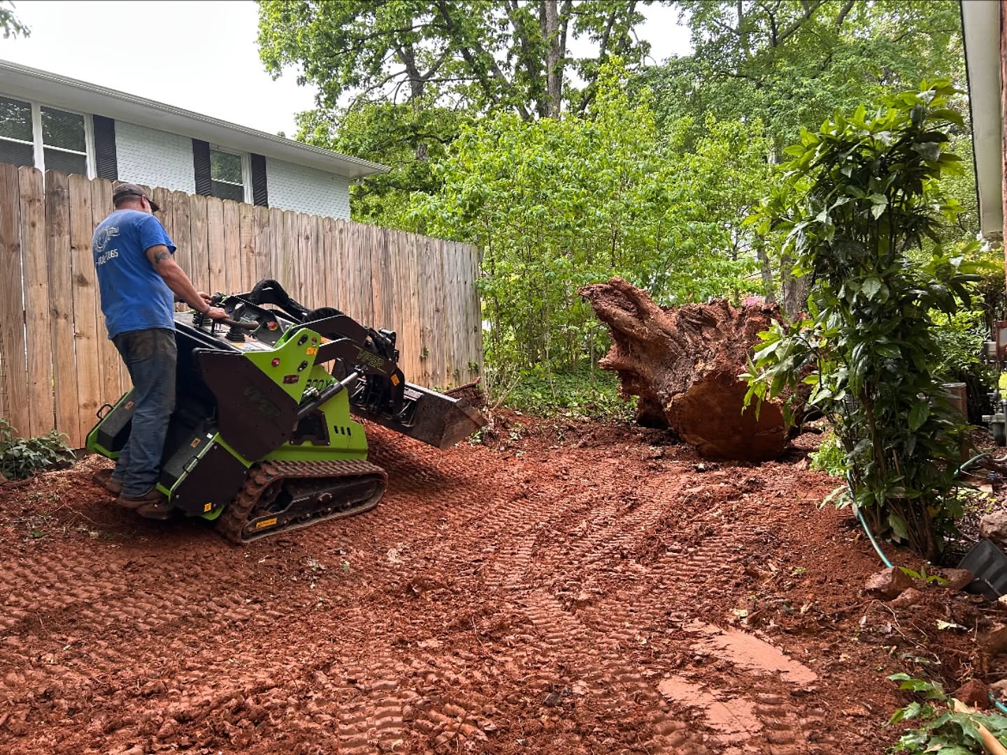 Debris and stump clean-up
